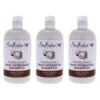 100 Percent Virgin Coconut Oil Daily Hydration Shampoo by Shea Moisture for Unisex - 13 oz Shampoo - Pack of 3 Supply