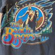 RARE Vintage Beach Boys 1979 American Endless Summer Tour XS S Supply