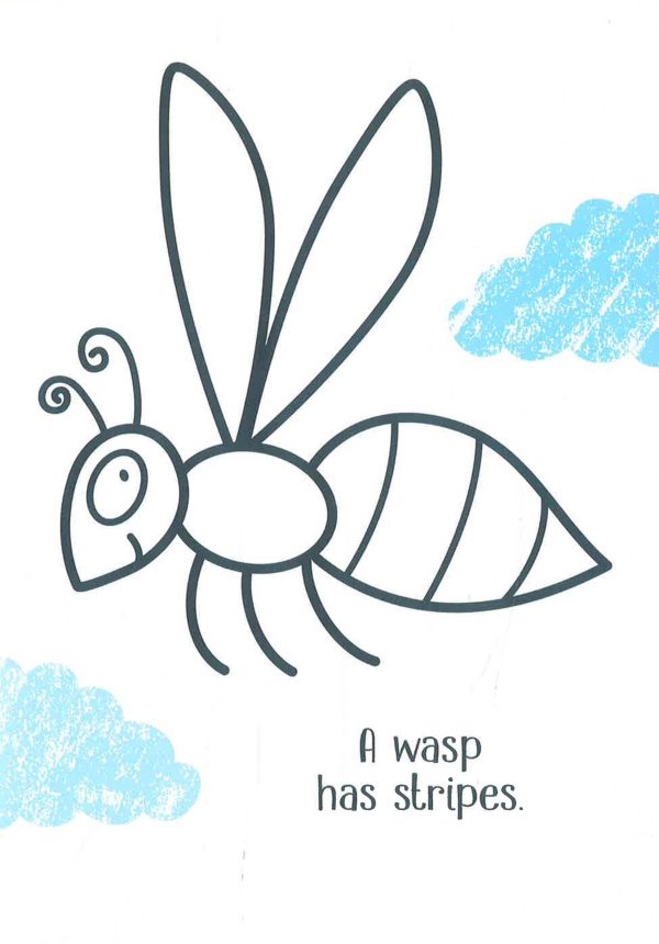 Usborne Little First Colouring Bugs Discount