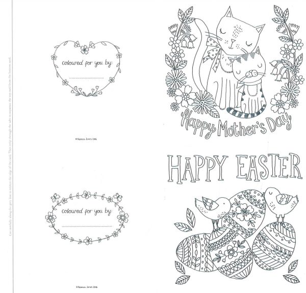 The Colouring Book Of Cards And Envelopes: Special Occasions Cheap