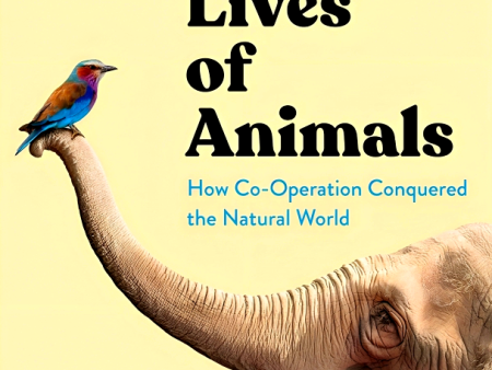 The Social Lives Of Animals Online