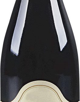 Odoul-Coquard Bourgogne Côte d Or Rouge 2021 For Discount