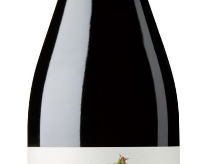 Pallus Messanges Chinon Rouge 2021 For Discount